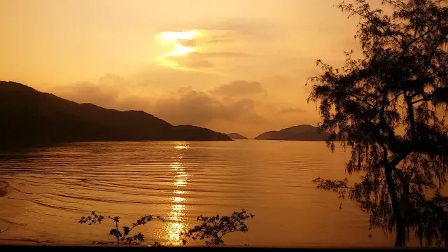 【梅窩一日遊2025】下個假期去梅窩慢活，必睇最新梅窩景點、美食、交通等梅窩行程攻略