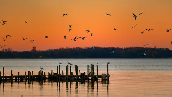 Bảo tàng Đồng hồ Beyer + Vườn Bách thảo Zurich + Quảng trường Parade + Công viên Belval