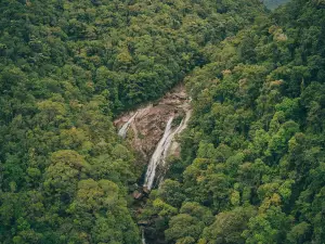Wooroonooran National Park