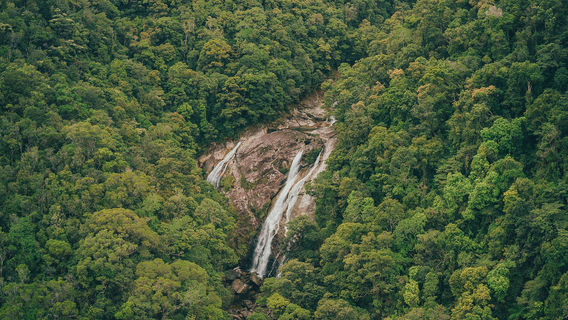 Wooroonooran National Park