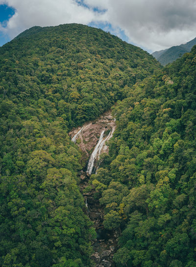 Wooroonooran National Park