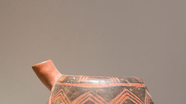 China Qinghai Liuwan Caitao Museum