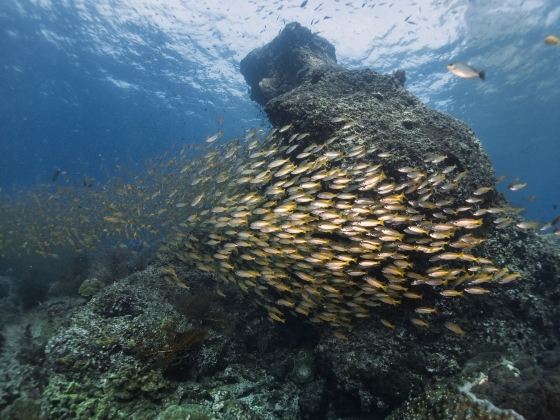 Sipadan Island