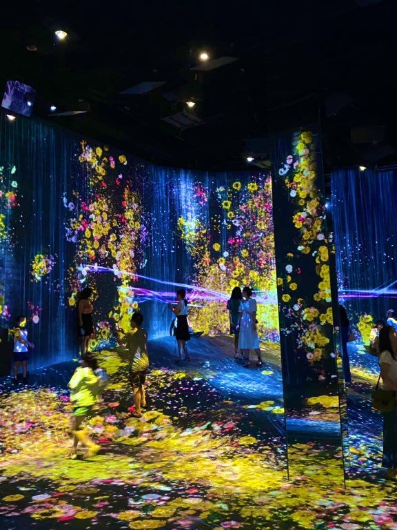 TeamLab Borderless- Transcending Artwork