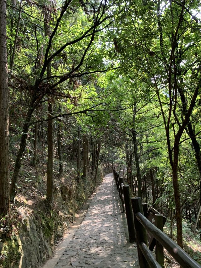 天子地