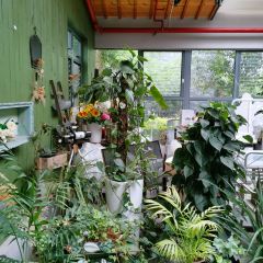 南岸时光 User Photo