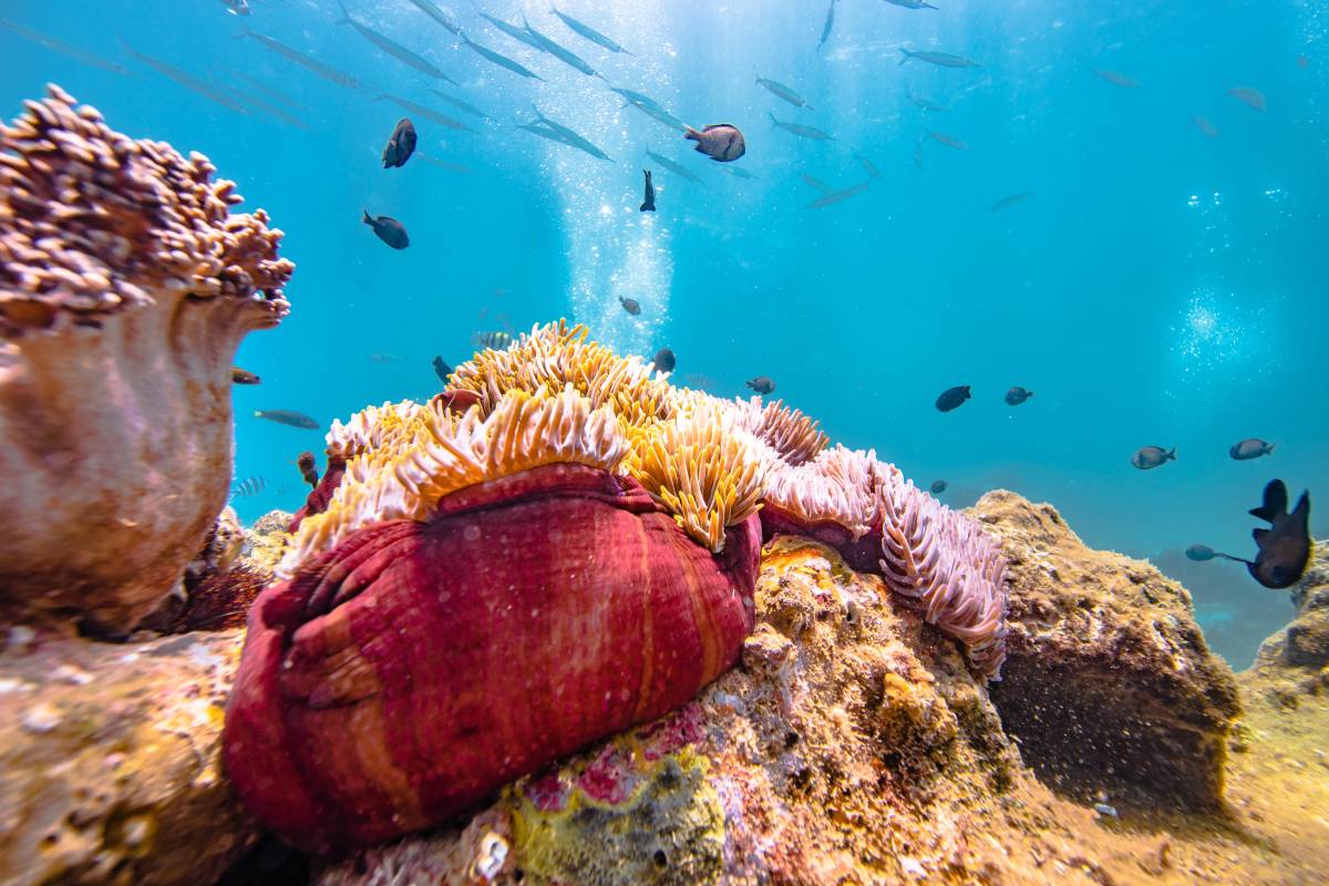 4. Explore the Tropical Paradise of Wuzhizhou Island