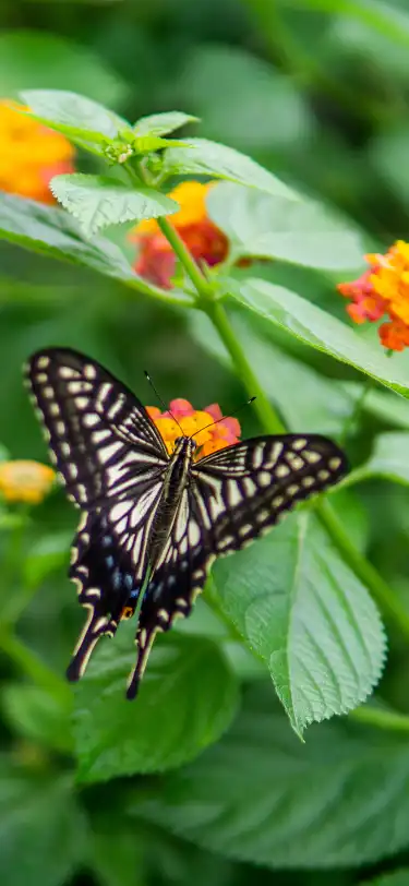 โรงแรมที่มีสระว่ายน้ำในจังหวัดเชจู เกาหลีใต้