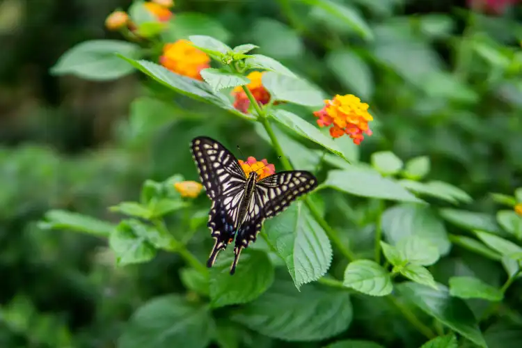 Hotels With Parking in Jeju Province, South Korea