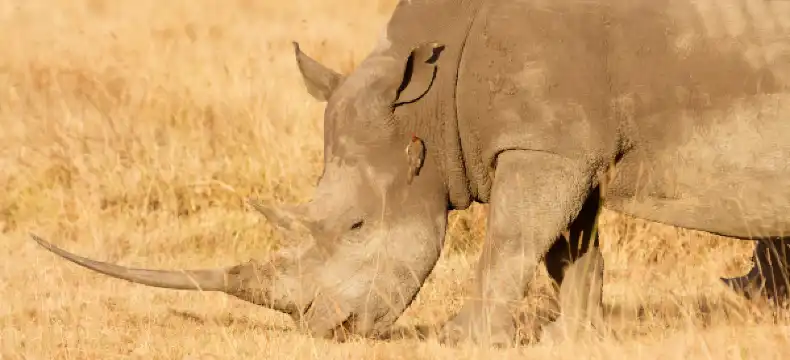 Hôtels avec avec salles de sport à Nakuru, Kenya