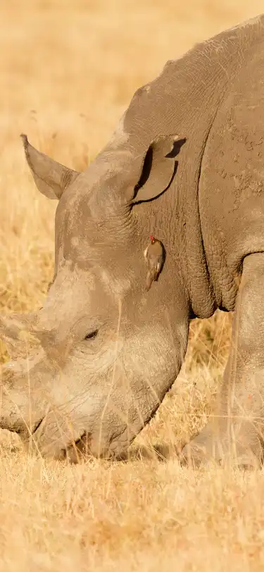 Hotels With Bar in Nakuru, Kenya