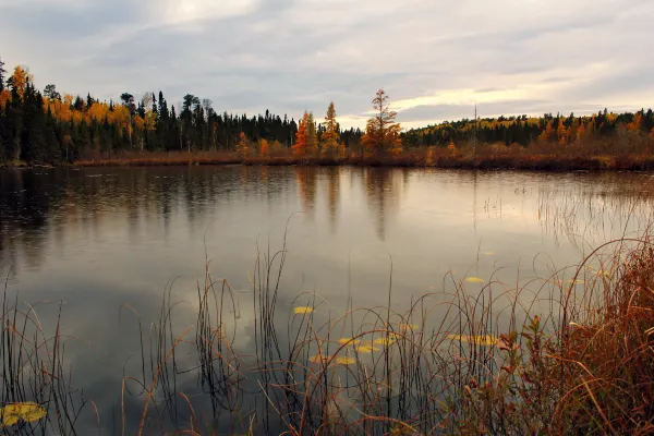 Flug nach Moosonee