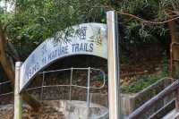 透過青欣山欣賞青馬大橋  特別體驗