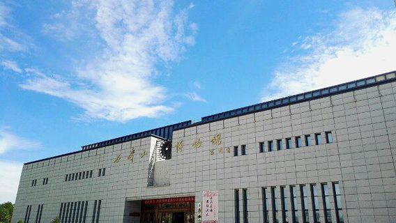 Shizuishan Museum