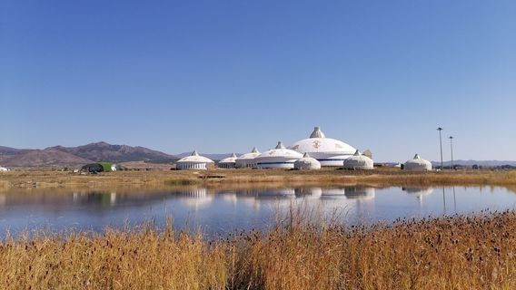 Дамаоци