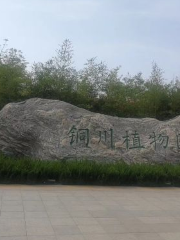 퉁촨 식물원