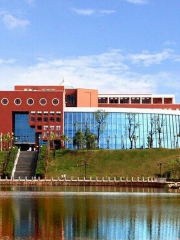 Xinyu Xueyuan- Library