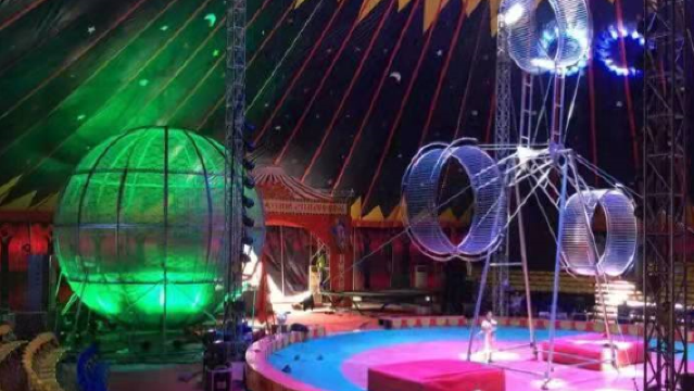 Shangqiu Tiger Leap Animal Kingdom