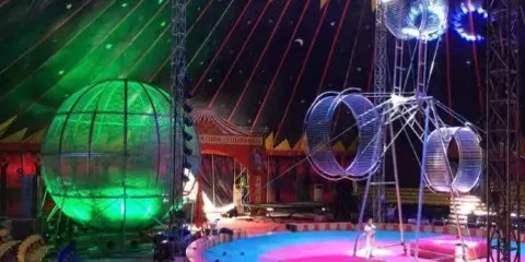 商丘市虎躍動物王國