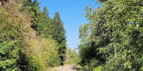 Kim Williams Nature Trail