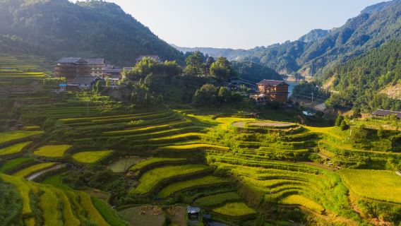 Yuanbaoshan National Forest Park