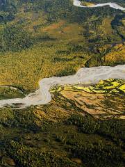 Parque nacional y reserva Denali