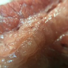 Schwartz's Deli User Photo
