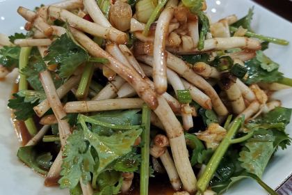 陆宣亦·黔山羊莊