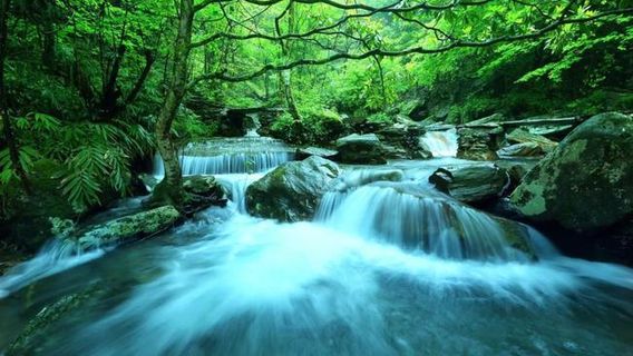 Chaxi Valley, Source of Qujiang River