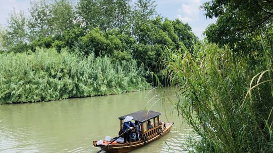 沙家浜风景区的芦苇迷宫，芦苇纵横，只闻其声不见人影，确实适合