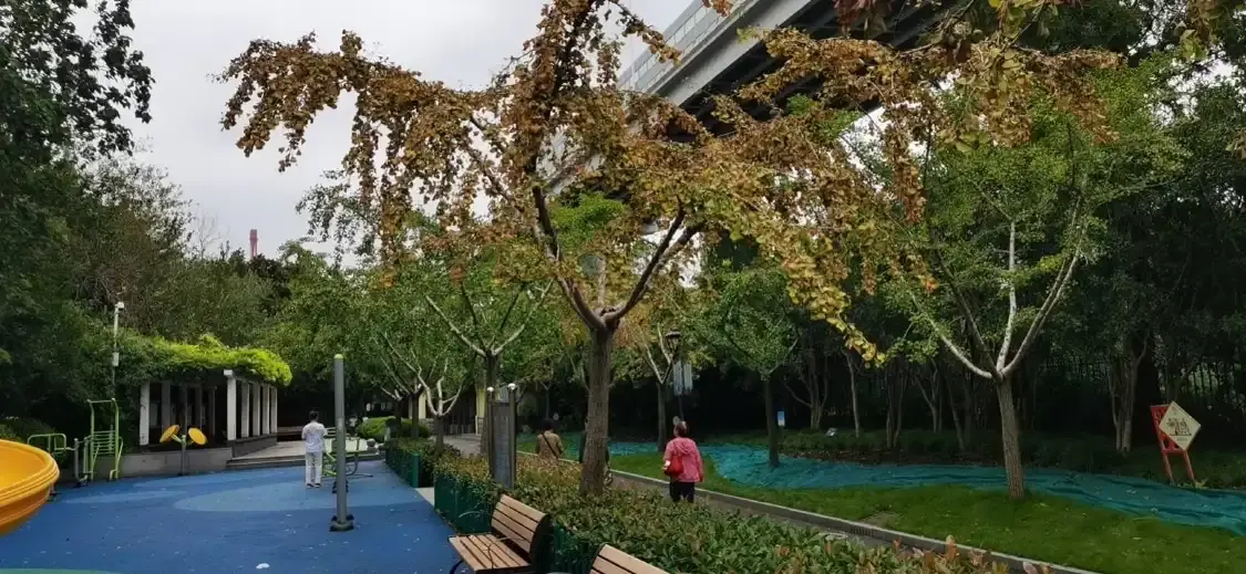 징둥 공원 주변 호텔