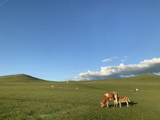 Junchi Racecourse