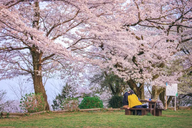 三溪園