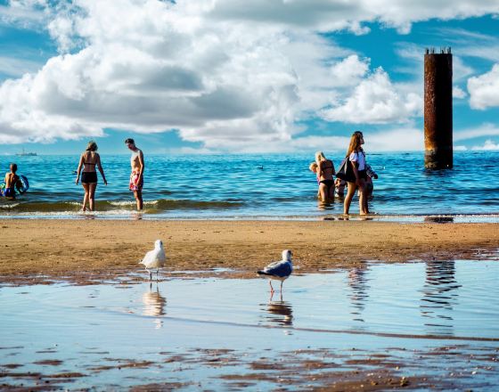海牙 自由行套票