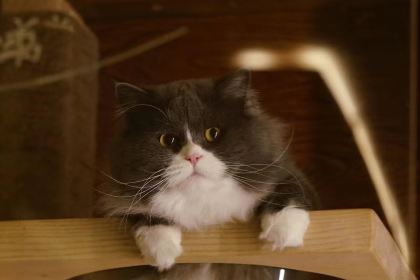 布拉格咖啡(朝阳巷)