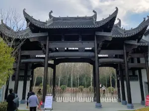 蒙城森林公園