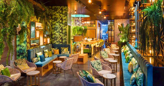 Kentia, Gourmet Club