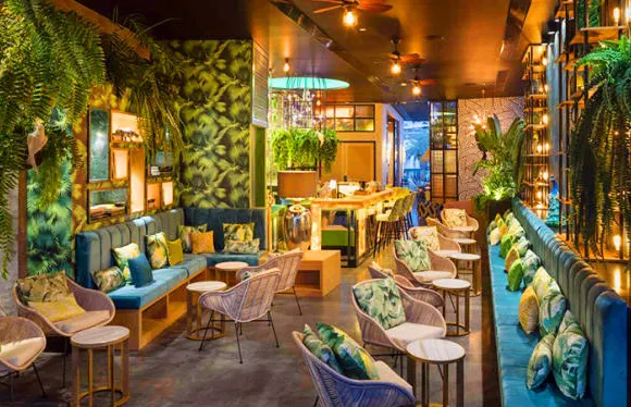 Kentia, Gourmet Club