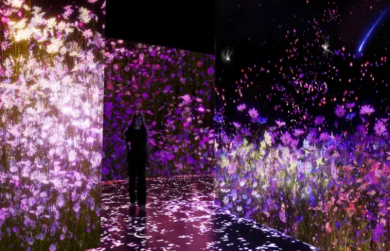 Arte Museum 江陵門票（普通）小童