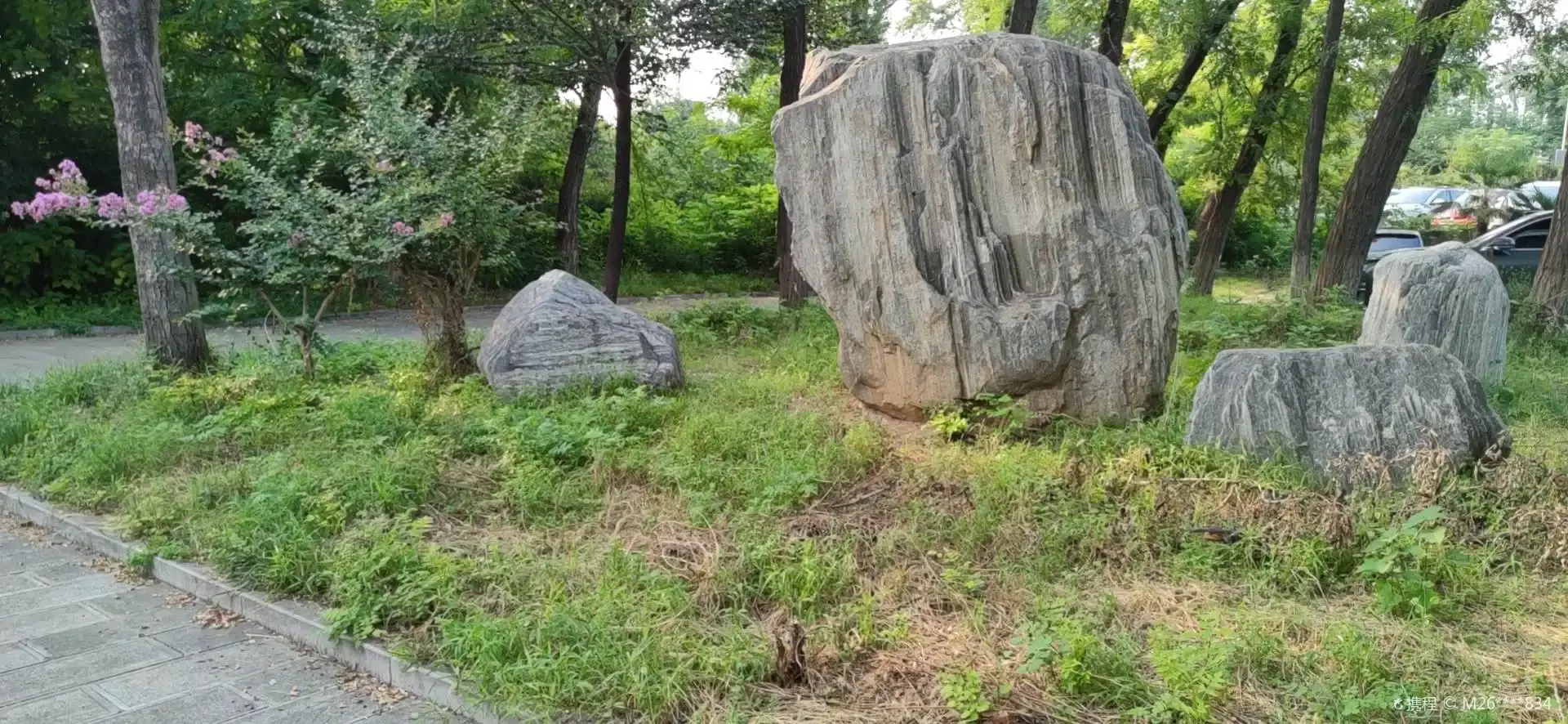 Hotels near World of Birds, Jiaozuo City Forest Park