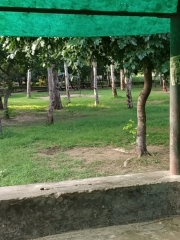 Vikaspuri Police Line Park