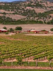 Zin Valle Vineyards