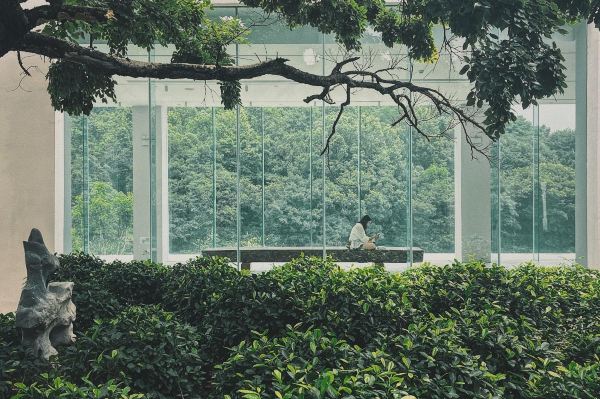 霞浦鸣野秋芦海上度假村·餐厅