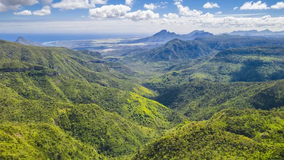 Black River Gorges National Park