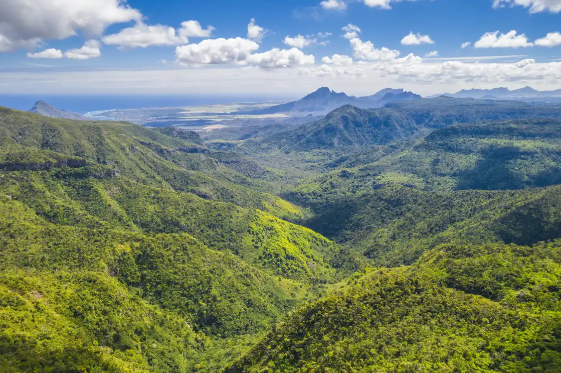 Hotels near Black River Gorges National Park