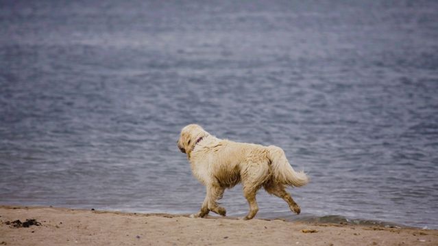 Yacht Club Community Park