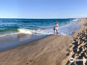 Belmar Beach
