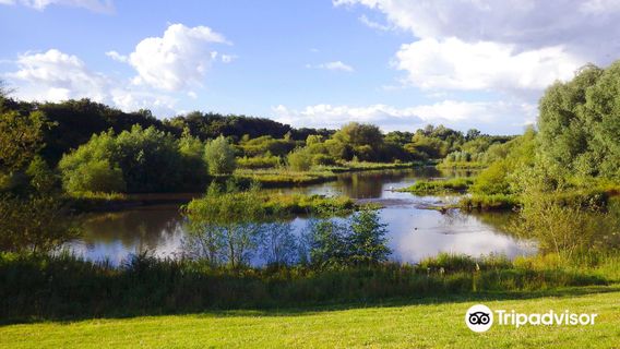 Mill Green and Hawks Green Valley Nature Reserve