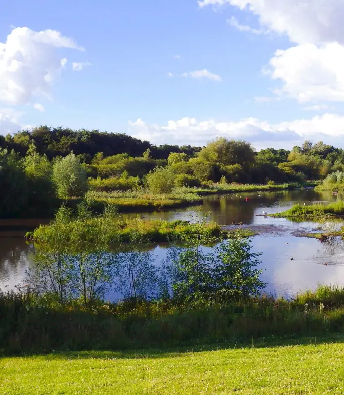 Cannock