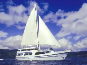 Sailing Adventure